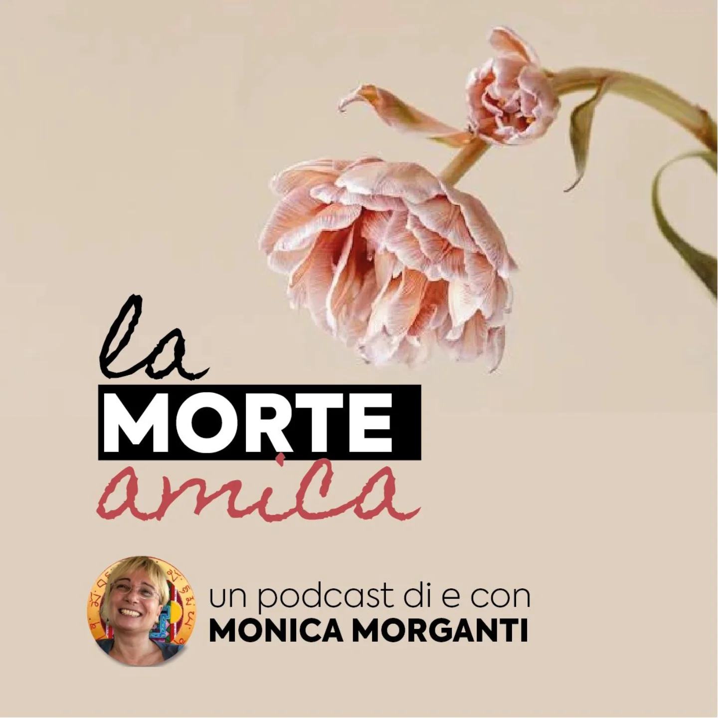 La morte amica: dialogo con Monica Morganti