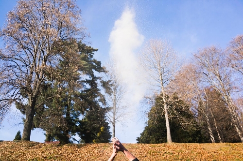 Dispersione ceneri in natura