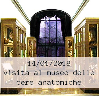 museo delle cere anatomiche