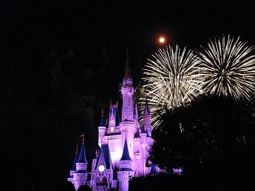 Dispersione ceneri a Disney World